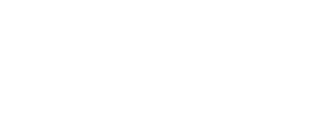 Brinkmann Technology GmbH Logo